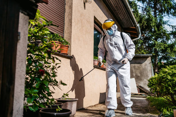 Best Pest Control Treatment  in Taft Southwest, TX