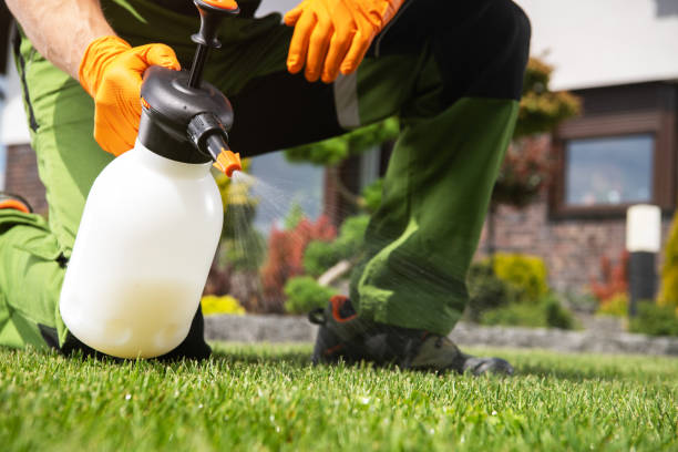 Best Mosquito Control Services  in Taft Southwest, TX