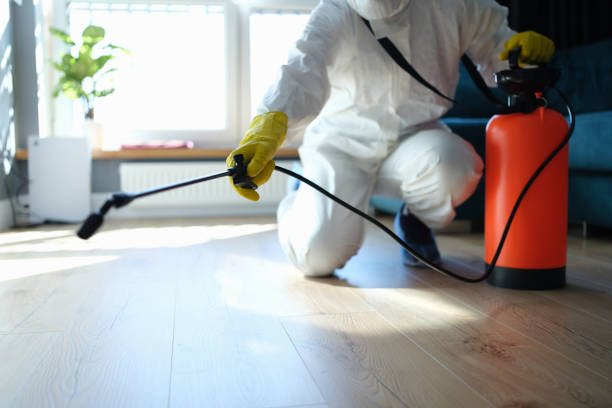 Flea Control Services in Taft Southwest, TX
