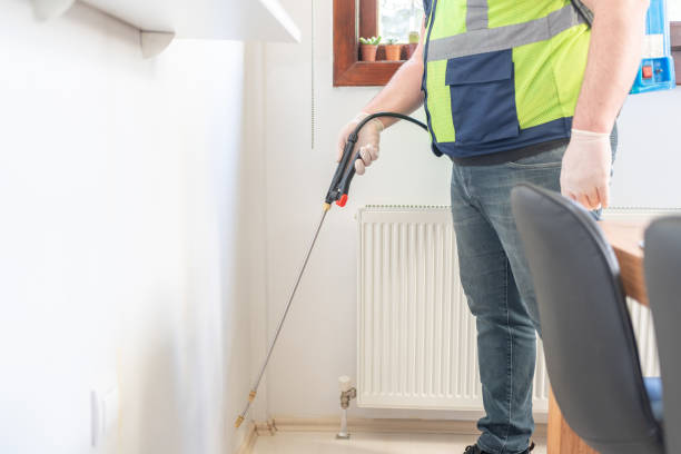 Best Wasp Removal Services  in Taft Southwest, TX