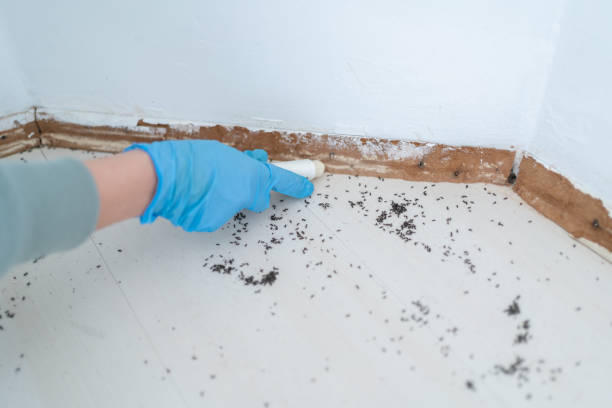 Best Pest Control for Businesses  in Taft Southwest, TX